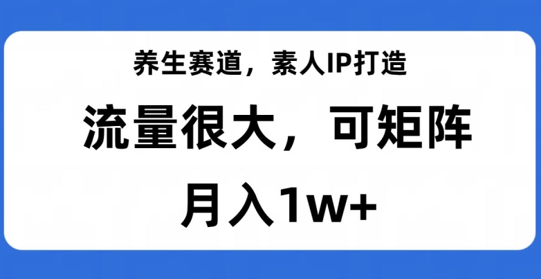 养生赛道，素人IP打造，流量很大，可矩阵，月入1w+【揭秘】-整合资源网