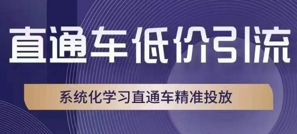 直通车低价引流课，系统化学习直通车精准投放-秀人资源网