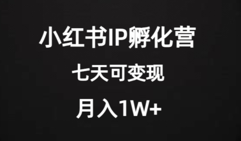 价值2000+的小红书IP孵化营项目，超级大蓝海，七天即可开始变现，稳定月入1W+-秀人资源网