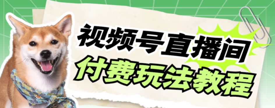 视频号美女付费无人直播，轻松日入500+【详细玩法教程】-秀人资源网