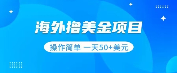撸美金项目无门槛操作简单小白一天50+美刀-整合资源网