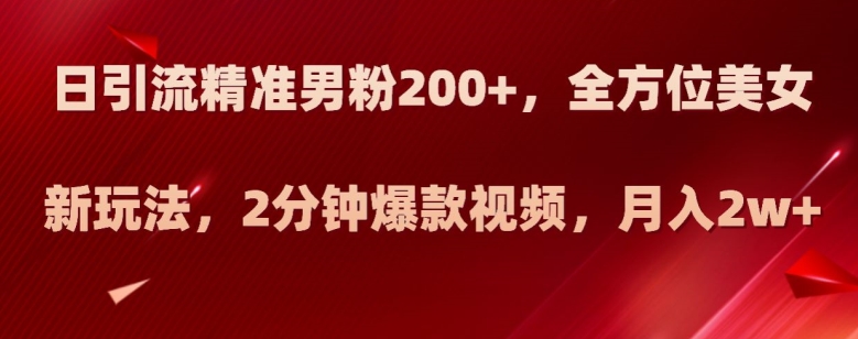 日引流精准男粉200+，全方位美女新玩法，2分钟爆款视频，月入2w+【揭秘】-整合资源网