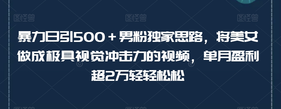 暴力日引500＋男粉独家思路，将美女做成极具视觉冲击力的视频，单月盈利超2万轻轻松松-秀人资源网