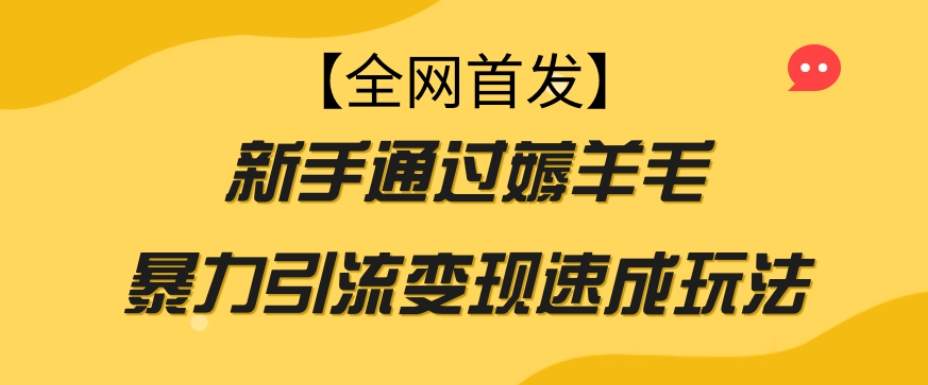 【全网首发】新手通过薅羊毛暴力引流变现速成玩法-秀人资源网