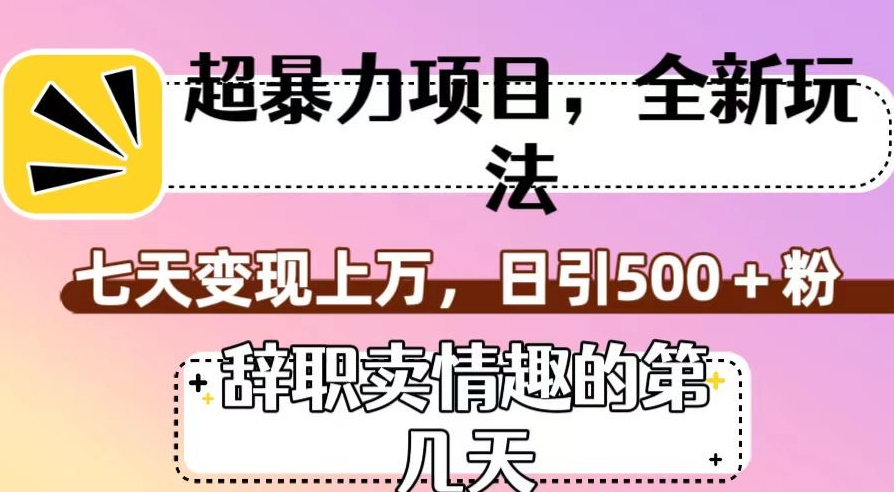 超暴利项目，全新玩法（辞职卖情趣的第几天），七天变现上万，日引500+粉【揭秘】-整合资源网