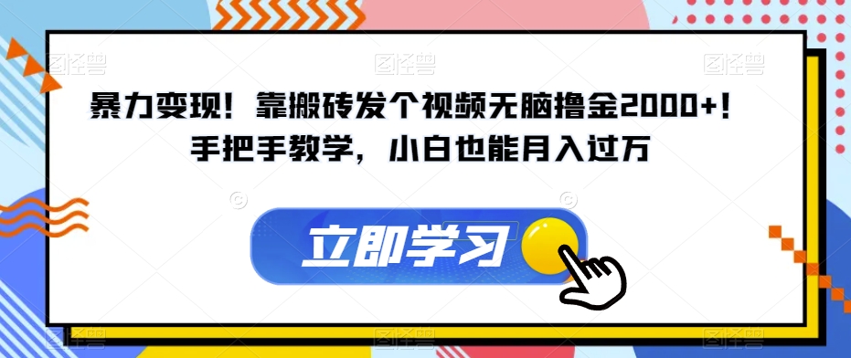 暴力变现！靠搬砖发个视频无脑撸金2000+！手把手教学，小白也能月入过万【揭秘】-秀人资源网