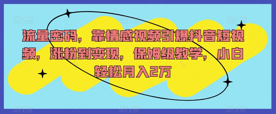 流量密码，靠情感视频引爆抖音短视频，涨粉到变现，保姆级教学，小白轻松月入2万【揭秘】-整合资源网
