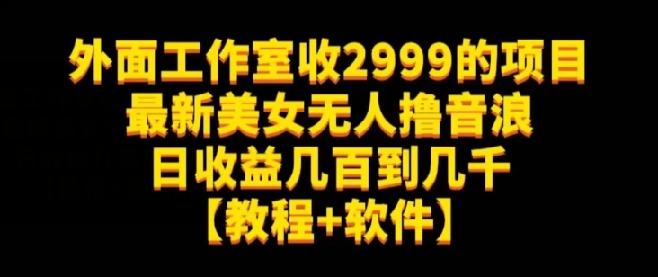 外面工作室收2999的项目最新美女无人撸音浪日收益几百到几千【教程+软件】（仅揭秘）-秀人资源网