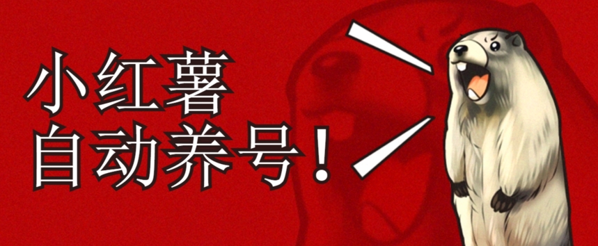 小红书养号秘籍，如何自动涨粉清晰系统标签打造高权重账号【揭秘】-整合资源网