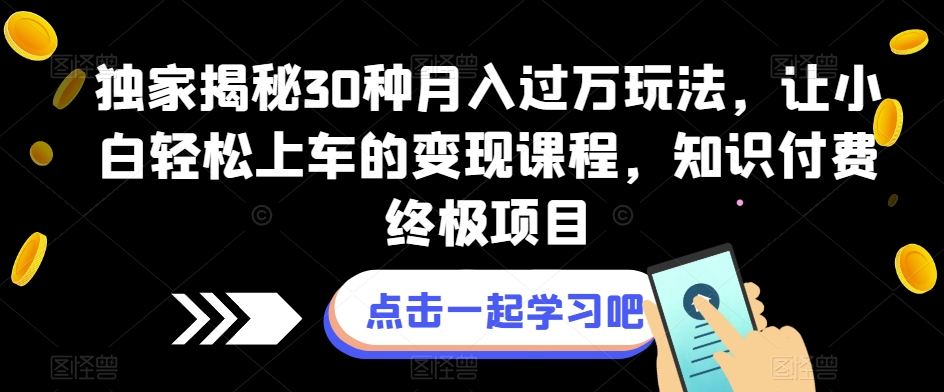 独家揭秘30种月入过万玩法，让小白轻松上车的变现课程，知识付费终极项目【揭秘】-整合资源网