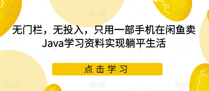 无门栏，无投入，只用一部手机在闲鱼卖Java学习资料实现躺平生活【揭秘】-整合资源网