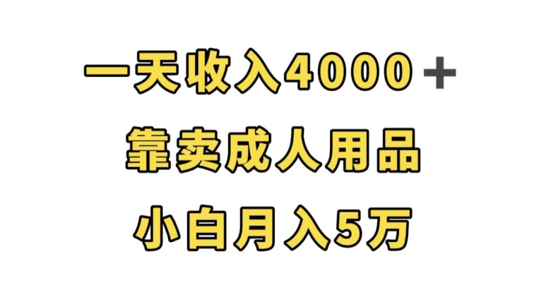 一天收入4000+，靠卖成人用品，小白轻松月入5万【揭秘】-秀人资源网