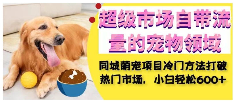 超级市场自带流量的宠物领域，同城萌宠项目冷门方法打破热门市场，小白轻松600+-秀人资源网