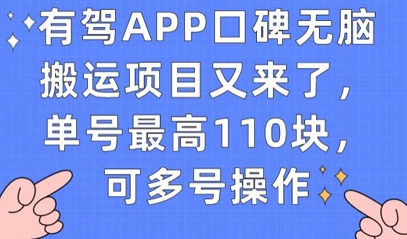 有驾APP口碑无脑搬运项目又来了，单号最高110块，可多号操作-整合资源网