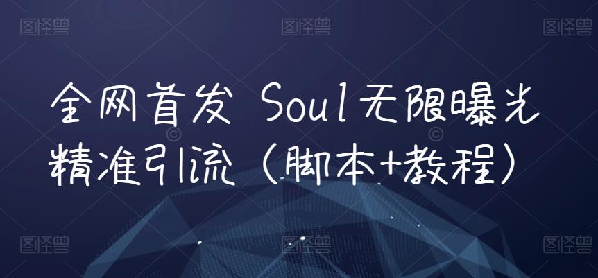 全网首发 Soul无限曝光精准引流（脚本+教程）-秀人资源网