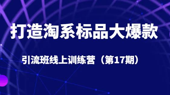 打造淘系标品大爆款引流班线上训练营（第17期）5天直播授课-秀人资源网