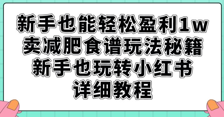 新手也能轻松盈利1w，卖减肥食谱玩法秘籍，新手也玩转小红书详细教程【揭秘】-秀人资源网
