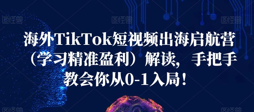海外TikTok短视频出海启航营（学习精准盈利）解读，手把手教会你从0-1入局！-秀人资源网