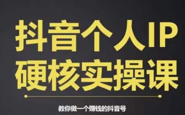 个人IP创富系统实战课，商业定位，流量打造，短视频变现，教你做个赚钱的抖音号-秀人资源网