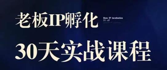 诸葛·2023老板IP实战课，实体同城引流获客，IP孵化必听-秀人资源网