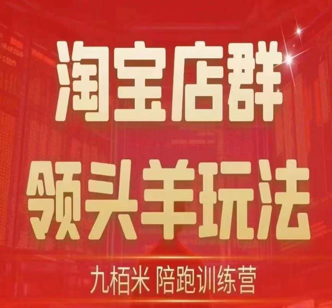 九栢米-淘宝店群领头羊玩法，教你整个淘宝店群领头羊玩法以及精细化/终极蓝海/尾销等内容-秀人资源网