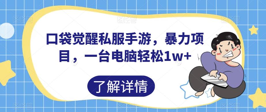 口袋觉醒私服手游，暴力项目，一台电脑轻松1w+【揭秘】-秀人资源网