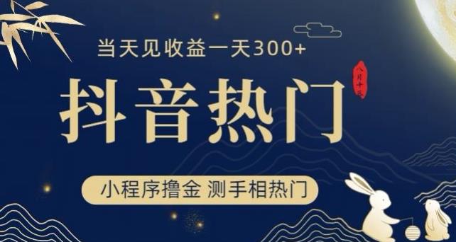 抖音最新小程序撸金，测手相上热门，当天见收益一小时变现300+【揭秘】-秀人资源网