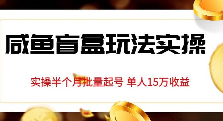 独家首发咸鱼盲盒玩法实操，半个月批量起号单人15万收益【揭秘】-秀人资源网