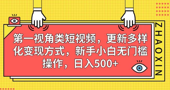 第一视角类短视频，更新多样化变现方式，新手小白无门槛操作，日入500+【揭秘】-整合资源网