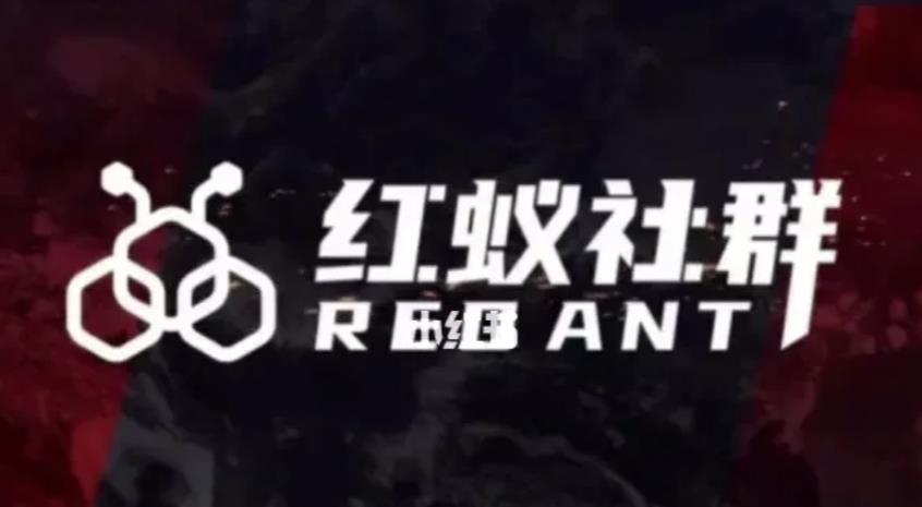 社群运营：红蚁社群【48节落地系统课程+2000人高端社群】-整合资源网