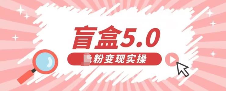 盲盒交友5.0，男粉变现实操项目，亲测变现效果极好【揭秘】-秀人资源网