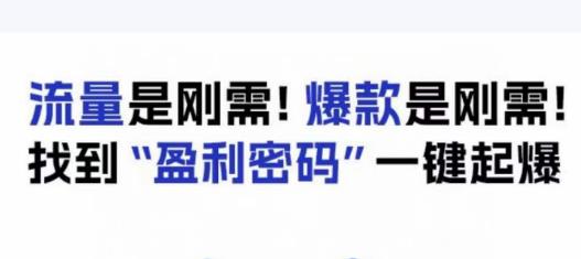 电商盈利精品课：6大盈利密码让产品更好卖，流量是刚需！爆款是刚需！找到”盈利密码”一键起爆-秀人资源网