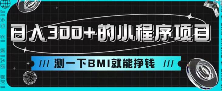 日入300+的小程序项目，测一下BMI就能挣钱【揭秘】-秀人资源网