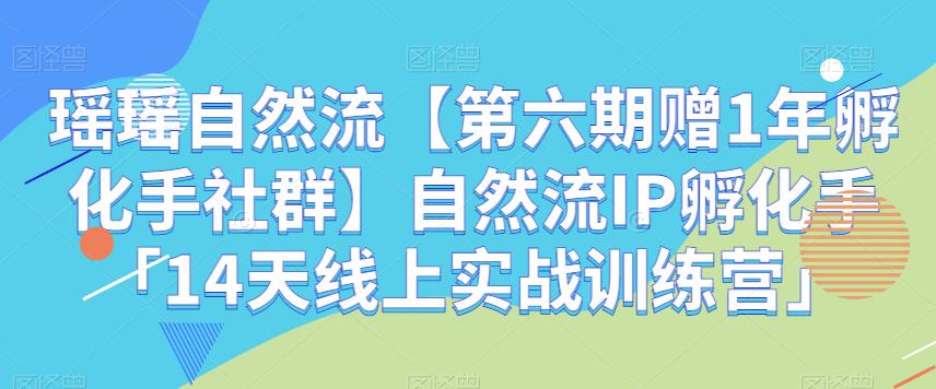 瑶瑶自然流【第六期赠1年孵化手社群】自然流IP孵化手「14天线上实战训练营」-秀人资源网