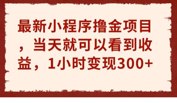最新小程序撸金项目，当天就可以看到收益，1小时变现300+【揭秘】-秀人资源网