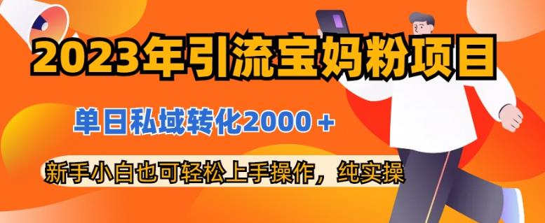 2023年引流宝妈粉项目，单日私域转化2000＋，新手小白也可轻松上手操作，纯实操-整合资源网