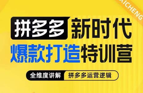 玺承·拼多多新时代爆款打造特训营，全维度讲解拼多多运营逻辑-秀人资源网