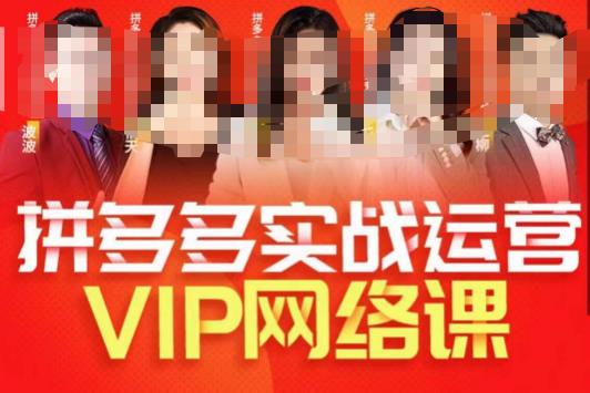 推易拼多多VIP全套直播课程，拼多多店铺实操玩法+实战玩法选款内功+直通车高阶等-秀人资源网
