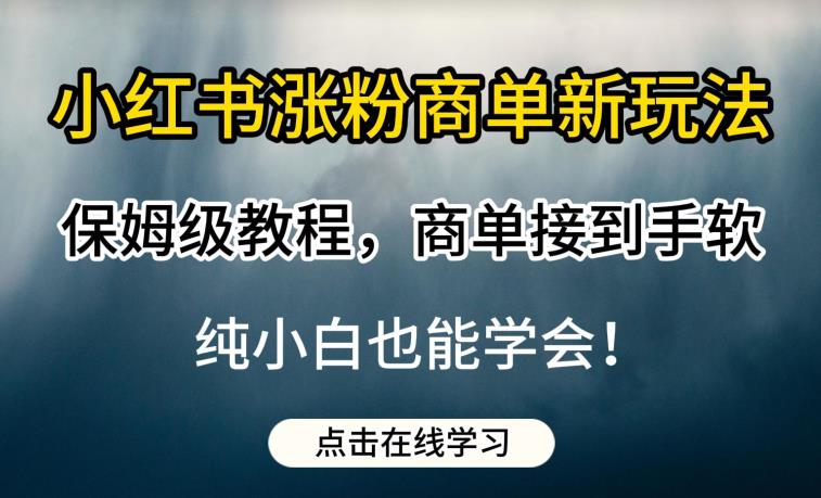 小红书涨粉商单新玩法，保姆级教程，商单接到手软，纯小白也能学会【揭秘】-秀人资源网