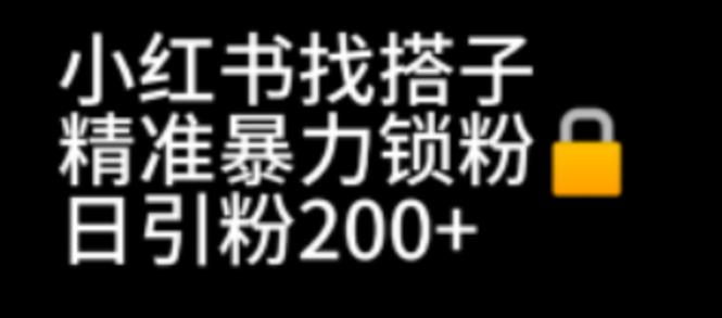 小红书找搭子暴力精准锁粉+引流日引200+精准粉-整合资源网