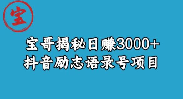 宝哥揭秘日赚3000+抖音励志语录号短视频变现项目-秀人资源网