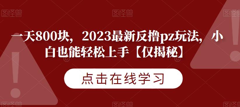 一天800块，2023最新反撸pz玩法，小白也能轻松上手【仅揭秘】-秀人资源网