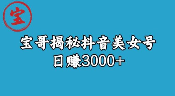 宝哥揭秘抖音美女号玩法，日赚3000+【揭秘】-秀人资源网
