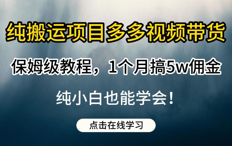 纯搬运项目多多视频带货保姆级教程，1个月搞5w佣金，纯小白也能学会【揭秘】-秀人资源网