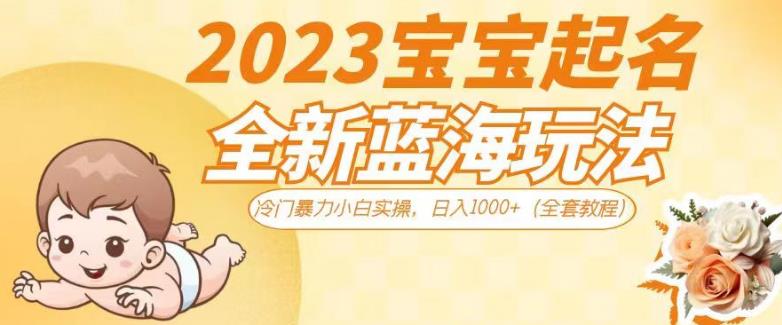 2023宝宝起名全新蓝海玩法，冷门暴力小白实操，日入1000+（全套教程）【揭秘】-秀人资源网