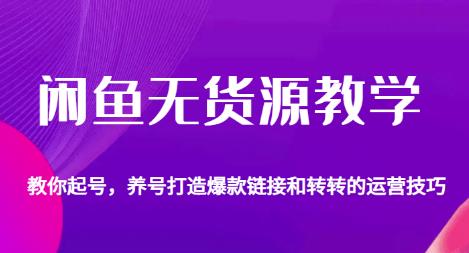 闲鱼无货源教学，教你起号，养号打造爆款链接以及转转的运营技巧-秀人资源网