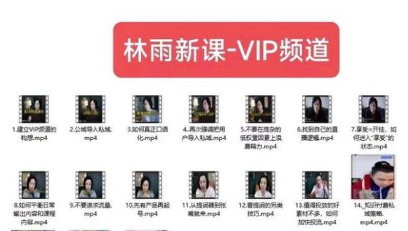林雨新课VIP频道，玩赚私域/朋友圈/社群-秀人资源网