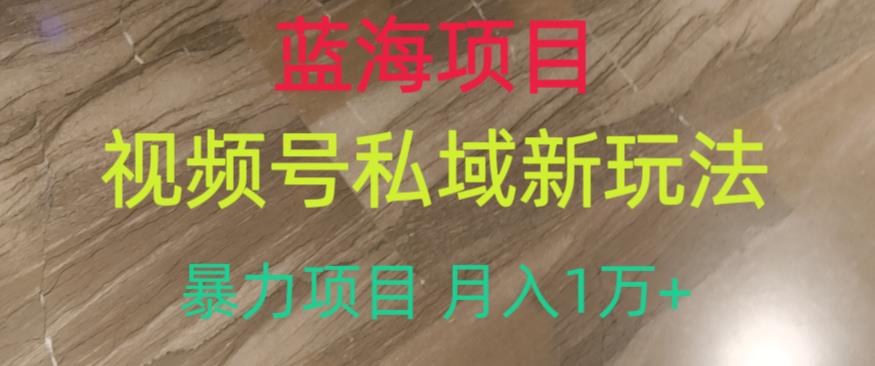 蓝海项目，视频号私域新玩法，暴力项目月入1万+【揭秘】-秀人资源网
