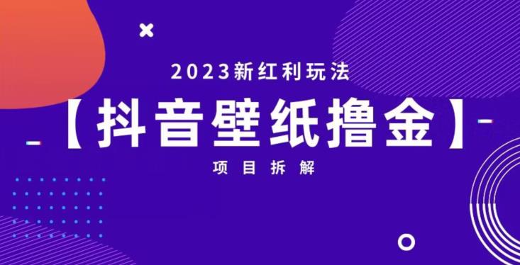 抖音壁纸小程序创作者撸金项目，2023新红利玩法【项目拆解】-秀人资源网
