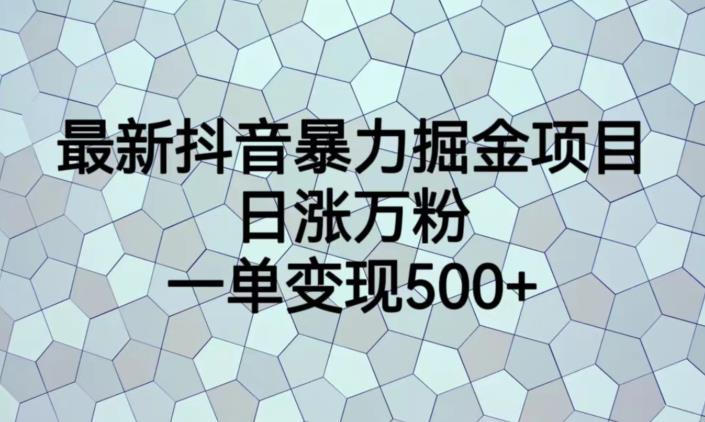 最新抖音暴力掘金项目，日涨万粉，一单变现500+【揭秘】-秀人资源网